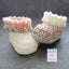 Sweet Dotty Baby Booties